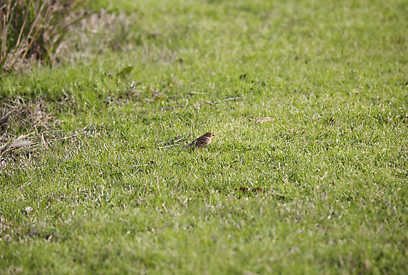 포토 JPG 해외이미지 겨울 사람없음 갈색 선탠 해외포토 계절 컬러 파일형식 이미지허브