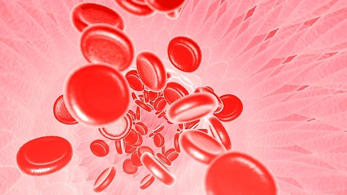 포토 JPG 해외이미지 세포 사람없음 빨간색 3D 적혈구 혈구 해외포토 컬러 디지털합성 혈관 파일형식 이미지허브