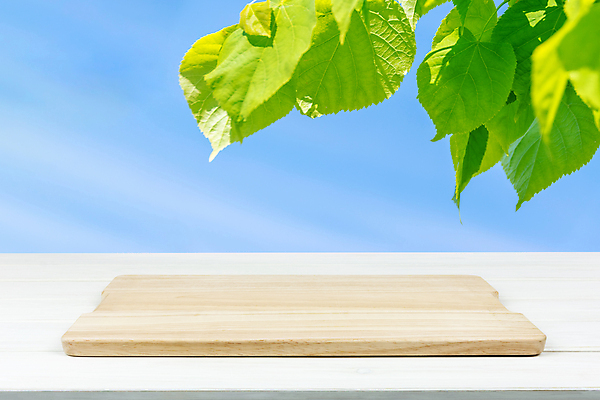 포토 JPG 해외이미지 나무 템플릿 접시 디자인 계절 공원 음식 백그라운드 잎 농업 자연 탁자 요리 사람없음 야외 목재 초록색 태양 소풍 파티 우주 환경 주방 정원 맑음 식사 봄 시골 신선 널 상품 정상 친환경 보케 내추럴 목업 카피스페이스 해외포토 자연요소 식물 식기 공공시설 산업 컬러 가구 재료 날씨 이벤트 야외활동 공백 생태계 파일형식 이미지허브