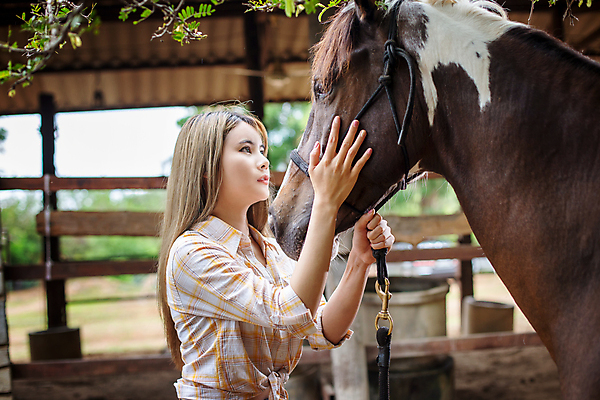 포토 JPG 해외이미지 주간 한마리 여자 한명 성인 야외 말_동물 승마 성인여자한명만 해외포토 자연요소 1 스포츠 포유류 사람 여자한명만 성인여자만 파일형식 이미지허브