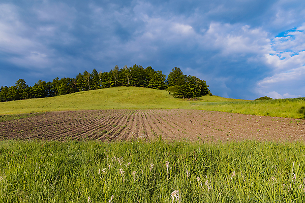 포토 JPG 해외이미지 식물 계절 유럽 도로 길 여행 밭 농업 자국 자연 하늘 산 사람없음 야외 목재 초록색 파란색 뷰티 농장 환경 산책 시골 오솔길 언덕 폭풍 폴란드 밭일 폭풍우 해외포토 나무 나라 산업 컬러 재료 교통시설 날씨 휴식 비_날씨 자연재해 생태계 파일형식 이미지허브