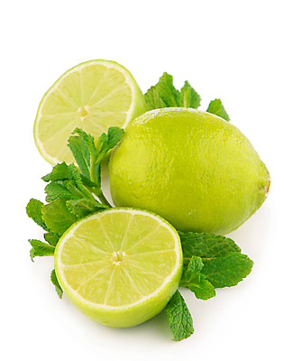 포토 JPG 해외이미지 사람없음 초록색 민트 허브 라임 스피아민트 해외포토 식물 컬러 과일 파일형식 이미지허브