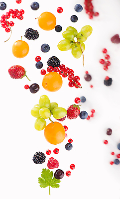 포토 JPG 해외이미지 열매 잎 딸기 사람없음 청포도 블루베리 산딸기 베리 블랙베리 해외포토 식물 과일 포도 파일형식 이미지허브