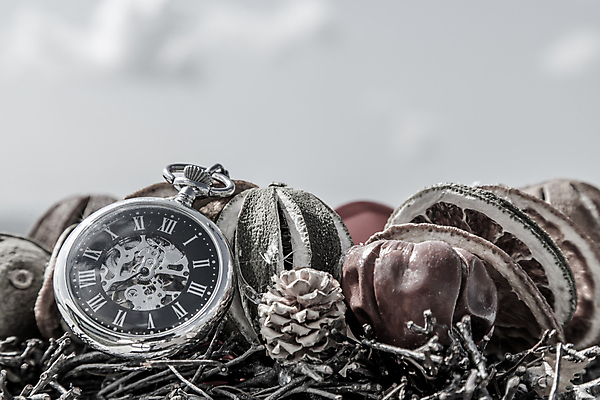 포토 JPG 해외이미지 백그라운드 사람없음 골동품 빈티지 클래식 나침반 오브젝트 복고 솔방울 건과일 해외포토 컨셉 과일 건조 파일형식 이미지허브