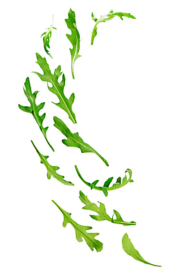 포토 JPG 해외이미지 잎 채소 사람없음 초록색 루꼴라 해외포토 식물 컬러 파일형식 이미지허브