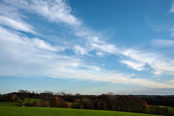 포토 JPG 해외이미지 식물 유럽 여행 자연 하늘 아침 독일 파노라마 사람없음 야외 관광지 환경 계곡 시골 숲 언덕 생태계 내추럴 해외포토 주간 나라 촬영기법 파일형식 이미지허브