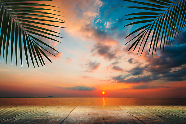 포토 JPG 해외이미지 나무 모래 바다 섬 여행 백그라운드 오렌지 자연 벽지 탁자 하늘 추상 휴가 휴식 손바닥 풍경 사람없음 야외 목재 물 여름 햇빛 태양 노란색 일출 일몰 새벽 휴양지 코코넛 파라다이스 해외포토 자연요소 식물 손 계절 컬러 가구 컨셉 무늬 과일 재료 노을 장소 생태계 파일형식 이미지허브