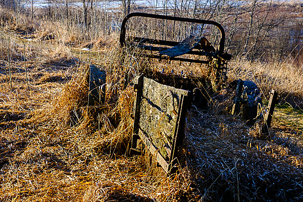 포토 JPG 해외이미지 농업 건조 이끼 사람없음 펼침 수확 골동품 황폐 거절 버리기 부식 시들음 거름 깨짐 방치 옛날 해외포토 산업 컨셉 모션 파일형식 이미지허브