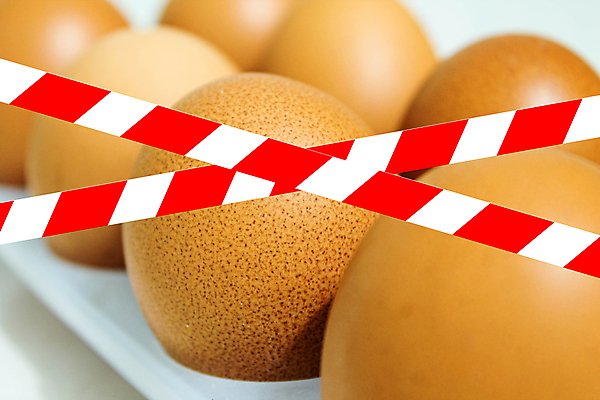 포토 JPG 해외이미지 동물 1 음식 백그라운드 다이어트 오렌지 포장 자연 탁자 조류 부활절 함께함 건강 요리 사람없음 상자 농장 갈색 계란 치킨 껍질 흰색 신선 그룹 맛 아침식사 상품 먹기 유기농 날것 패키지 노른자 내추럴 단백질 암탉 취급주의 많음 강조 해외포토 웰빙 기념일 컬러 가구 컨셉 농업 과일 모션 경고 알 식사 닭 암컷 생태계 닭고기요리 영양소 파일형식 이미지허브