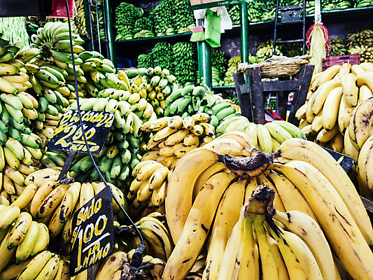 포토 JPG 해외이미지 식물 잡화 아시아 음식 농업 다이어트 과일 거리 바나나 건강 사람 동양인 사람없음 농장 상점 시장 맛 설탕 철 유기농 마케팅 수입 숙성 공급 해외포토 웰빙 나라 산업 컨셉 인종 파일형식 이미지허브