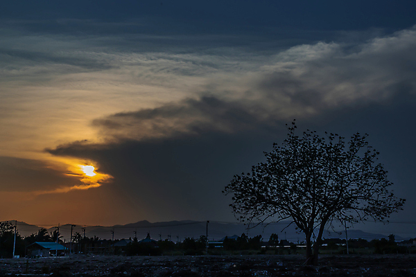 포토 JPG 해외이미지 나무 실루엣 하늘 사람없음 야외 일몰 야간 해외포토 자연요소 식물 촬영기법 노을 파일형식 이미지허브