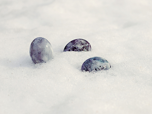 포토 JPG 해외이미지 모양 전통 계절 음식 백그라운드 패턴 자연 날씨 휴가 부활절 그림자 이벤트 사람없음 야외 장식 파란색 빛 컬러풀 햇빛 계란 보라색 페인트 봄 추위 흰색 축하 최고 점 눈송이 변화 선택 4월 속도 사냥 얼룩무늬 보물 해외포토 기념일 컬러 컨셉 무늬 눈_날씨 태양 알 날짜 생태계 파일형식 이미지허브