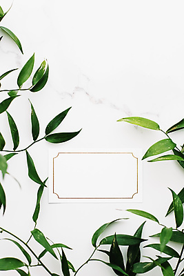포토 JPG 해외이미지 종이 잎 프레임 사람없음 흰배경 대리석 카피스페이스 보테니컬아트 해외포토 식물 백그라운드 재료 공백 흰색 파일형식 이미지허브