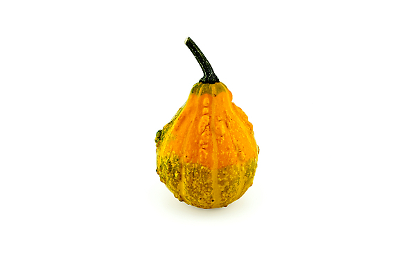 포토 JPG 해외이미지 식물 계절 음식 줄기 백그라운드 농업 채소 오렌지 과일 재료 자연 호박 휴가 건강 사람없음 장식 초록색 컬러풀 농장 노란색 정원 축제 할로윈 수확 가을 흰색 시골 신선 11월 심볼 오브젝트 유기농 날것 박 추수감사절 스쿼시 10월 내추럴 고립 숙성 채식주의자 해외포토 웰빙 산업 기독교 스포츠 컬러 구기 날짜 생태계 채식 파일형식 이미지허브