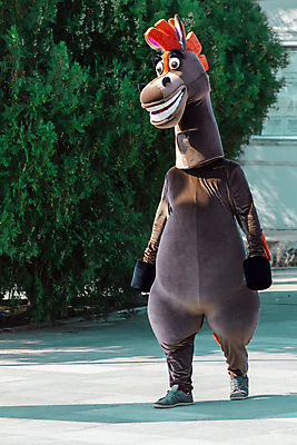 포토 JPG 해외이미지 동물 공원 얼굴 야생동물 여행 포유류 자연 털 미술 사람 사람없음 숫자 갈색 여행객 공연 강아지 큼 예술가 코믹 활기 성격 인기 팝 해외포토 문자 공공시설 컬러 컨셉 문화예술 이벤트 신체부위 반려동물 개 크기 생태계 파일형식 이미지허브