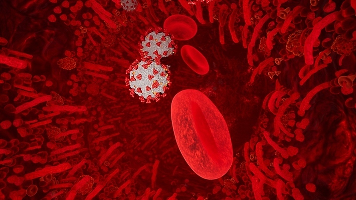 포토 JPG 해외이미지 세포 사람없음 빨간색 3D 적혈구 혈구 코로나바이러스 델타변이바이러스 오미크론 해외포토 컬러 바이러스 디지털합성 혈관 파일형식 이미지허브
