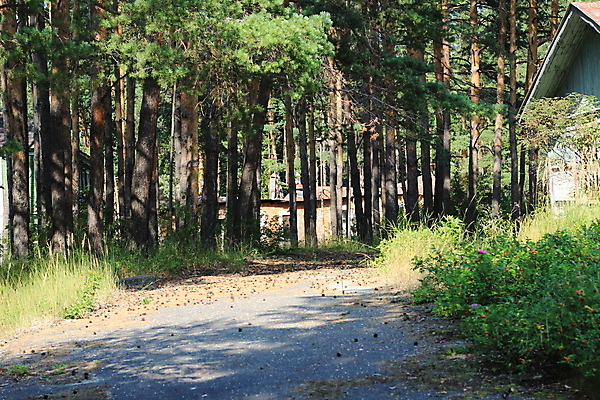 포토 JPG 해외이미지 도로 여행 자연 주택 사람없음 마을 정원 조약돌 숲 작음 버리기 시골집 옛날 해외포토 길 교통시설 모션 건물 돌_바위 크기 생태계 파일형식 이미지허브