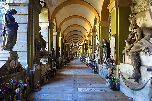 포토 JPG 해외이미지 기독교 종교 얼굴 조각 건축양식 천사 미술 사람없음 장식 조각상 평화 희망 수확 골동품 기도 죽음 무덤 영혼 비석 심볼 묘사 대리석 신성 천국 기념물 천연기념물 장례 고딕 신앙심 옛날 장례식 추모 해외포토 건축 감정 컨셉 농업 재료 문화예술 신체부위 조형물 파일형식 이미지허브