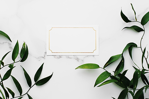 포토 JPG 해외이미지 종이 잎 프레임 사람없음 흰배경 대리석 카피스페이스 보테니컬아트 해외포토 식물 백그라운드 재료 공백 흰색 파일형식 이미지허브