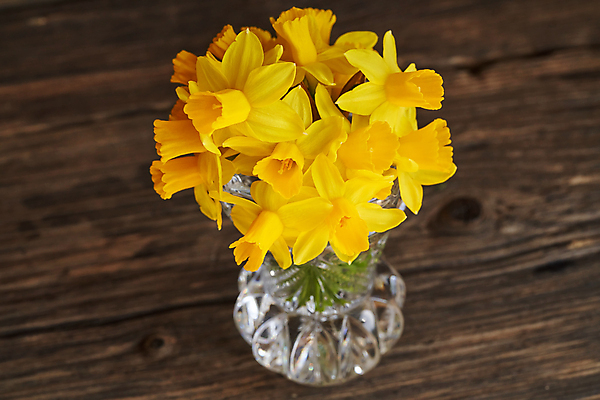 포토 JPG 해외이미지 식물 계절 꽃 꽃다발 컨셉 자연 유리 부활절 사람없음 목재 노란색 꽃병 봄 벚꽃 시골 신선 다발 원예 심플 수선화 내추럴 어머니의날 해외포토 나무 기념일 컬러 재료 재질 취미 생태계 미국문화 파일형식 이미지허브