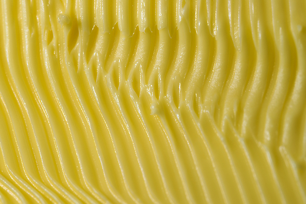 포토 JPG 해외이미지 음식 백그라운드 패턴 다이어트 재료 표시 추상 건강 사람없음 노란색 줄무늬 펼침 우유 칼 닫기 상품 크림 질감 웨이브 산등성이 윤곽 버터 기본 단백질 해외포토 컬러 무늬 모션 유제품 산 영양소 파일형식 이미지허브