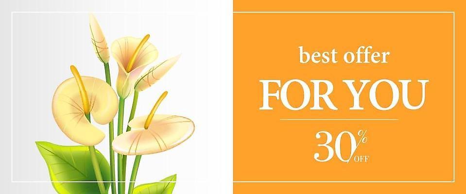 EPS 해외이미지 템플릿 디자인 배너 계절 꽃 포스터 꽃다발 백그라운드 컨셉 꽃무늬 오렌지 일러스트 텍스트 프레임 가로 여름 쇼핑 유행 라벨 세일 상점 봄 흰색 퍼센트 시장 구매 백합 가격 하락 다발 심볼 사인 쿠폰 소매 승진 고립 재고정리 칼라꽃 특별함 레터링 제의 해외일러스트 식물 컬러 무늬 과일 특수기호 파일형식 벡터 이미지허브