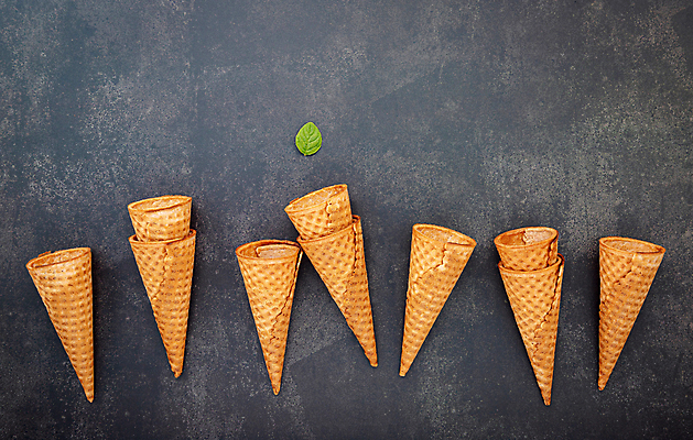 포토 JPG 해외이미지 잎 사람없음 아이스크림콘 카피스페이스 해외포토 식물 공백 콘 파일형식 이미지허브