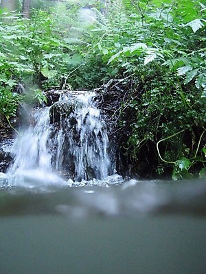 포토 JPG 해외이미지 자연 건강 사람없음 물 화목 젖음 흐름 물방울 신선 액체 개울 위생 순수 위생관리 해외포토 자연요소 컨셉 관리 강 생태계 파일형식 이미지허브