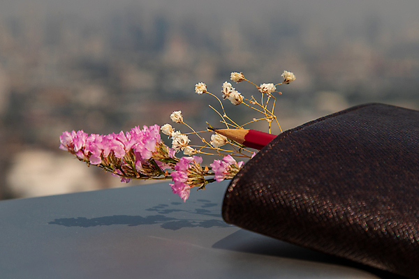 포토 JPG 해외이미지 식물 직업 디자인 교육 꽃잎 꽃 종이 분홍색 백그라운드 컨셉 꽃무늬 비즈니스 통신 자연 설계 사람없음 장식 빨간색 노트북 컴퓨터 사무실 뷰티 연필 갈색 우주 스크린 다이어리 보라색 쪽지 공책 봄 공백 벚꽃 흰색 도시 발표 작업실 책상 해외포토 계절 컬러 가구 무늬 문구용품 학용품 전자제품 필기구 사무용품 생태계 파일형식 이미지허브