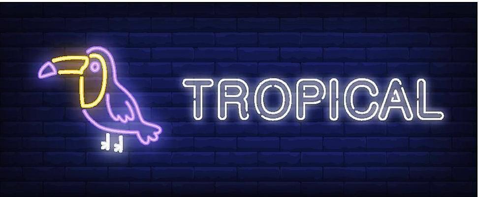 EPS 해외이미지 템플릿 디자인 배너 실루엣 포스터 벽 섬 여행 백그라운드 컨셉 일러스트 텍스트 조류 휴가 벽돌 간판 광고판 그래픽 여름 빛 웹 바 플랫 야간 제비꽃 심볼 사인 휴양지 네온 고립 광 엘리먼트 이국적 스타일 유흥 해외일러스트 자연요소 동물 계절 꽃 인터넷 알림판 촬영기법 장소 판 파일형식 벡터 이미지허브