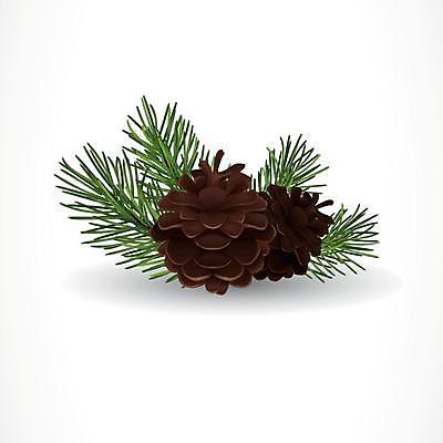 EPS 해외이미지 나무 식물 디자인 배너 포스터 음식 백그라운드 컨셉 크리스마스 일러스트 자연 추상 새해 미술 장식 초록색 컬러풀 갈색 3D 웹 나뭇가지 축하 소나무 신용카드 숲 오브젝트 엽서 솔방울 상록수 침엽수 전나무 원뿔 내추럴 고립 엘리먼트 가문비나무 현실 해외일러스트 도형 기념일 컬러 무늬 인터넷 문화예술 금융 편지 디지털합성 생태계 파일형식 벡터 이미지허브