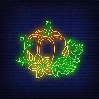 EPS 해외이미지 스티커 일러스트 호박 사람없음 화려 심볼 라인아트 네온 호박꽃 호박잎 해외일러스트 꽃 선 컨셉 잎 채소 파일형식 벡터 이미지허브