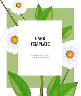 EPS 해외이미지 꽃 줄기 잎 카드템플릿 일러스트 프레임 타이포그라피 사람없음 초록색 데이지 해외일러스트 식물 템플릿 문자 컬러 카드_감사 파일형식 벡터 이미지허브