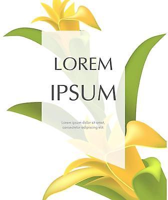 EPS 해외이미지 잎 카드템플릿 일러스트 프레임 타이포그라피 사람없음 초록색 노란색 글라디올러스 해외일러스트 식물 템플릿 문자 꽃 컬러 카드_감사 파일형식 벡터 이미지허브