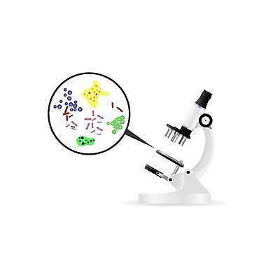EPS 해외이미지 말풍선 일러스트 현미경 사람없음 확대 분석 미생물 박테리아 해외일러스트 컨셉 의학 생물 실험기구 파일형식 벡터 이미지허브