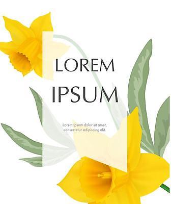 EPS 해외이미지 줄기 잎 카드템플릿 일러스트 프레임 타이포그라피 사람없음 초록색 노란색 수선화 해외일러스트 식물 템플릿 문자 꽃 컬러 카드_감사 파일형식 벡터 이미지허브