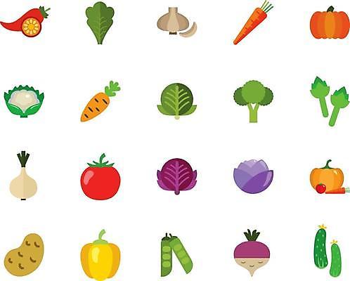 EPS 해외이미지 잎 토마토 일러스트 고추 호박 양파 오이 감자 파프리카 마늘 사람없음 여러개 당근 상추 브로콜리 무 완두콩 양배추 적채 비트 아티초크 적양파 컬리플라워 해외일러스트 식물 다수 채소 콩 뿌리채소 파일형식 벡터 이미지허브