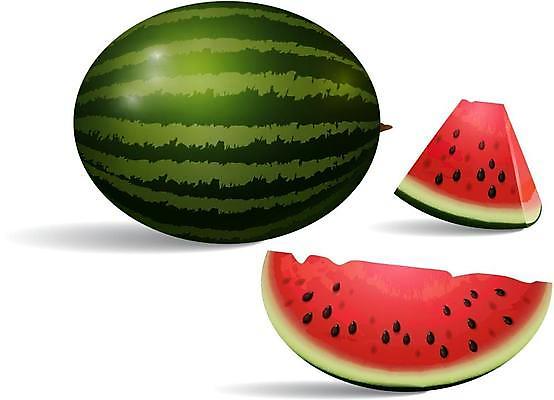 EPS 해외이미지 조각 일러스트 단면 수박 사람없음 빨간색 초록색 세트 해외일러스트 컬러 과일 파일형식 벡터 이미지허브