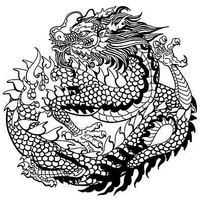 EPS 해외이미지 동물 전통 문화 일러스트 생물 흑백 동양인 별자리 용 클래식 문신 심볼 신화 마법 동쪽 고립 마스코트 해외일러스트 컨셉 촬영기법 인종 방향 파일형식 벡터 이미지허브