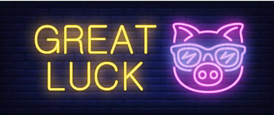 EPS 해외이미지 행복 일러스트 텍스트 새해 사람없음 빛 돼지 행운 해외일러스트 돼지의해 감정 컨셉 포유류 돼지띠 파일형식 벡터 이미지허브