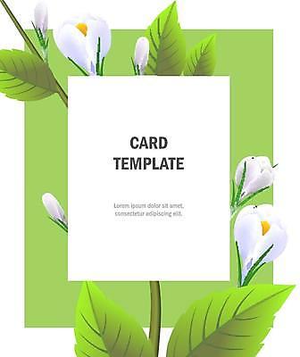 EPS 해외이미지 줄기 잎 카드템플릿 일러스트 프레임 타이포그라피 사람없음 초록색 꽃봉오리 해외일러스트 식물 템플릿 문자 꽃 컬러 카드_감사 파일형식 벡터 이미지허브