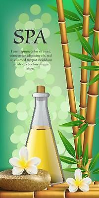 EPS 해외이미지 꽃 포스터 일러스트 사람없음 초록색 스파 조약돌 대나무 스파용품 스톤 아로마오일 해외일러스트 나무 식물 컬러 돌_바위 오일_화장품 오브젝트 파일형식 벡터 이미지허브