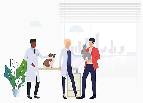 EPS 해외이미지 전신 여자 남자 화분 일러스트 안기 서기 들기 성인 세명 고양이 토끼 동물병원 수의사 성인만 해외일러스트 포유류 모션 병원 사람 반려동물 의사 파일형식 벡터 이미지허브