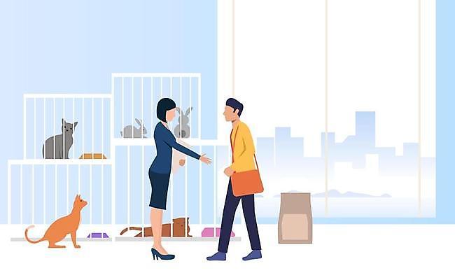 EPS 해외이미지 전신 여자 남자 여러마리 일러스트 창문 악수 서기 성인 두명 건물 반려동물 고양이 토끼 센터 손내밀기 직원 동물보호 입양 철장 케이지 성인만 반려묘 유기묘 유기동물 해외일러스트 반려용품 동물 건축물 다수 포유류 모션 사람 손짓 사회이슈 오브젝트 파일형식 벡터 이미지허브