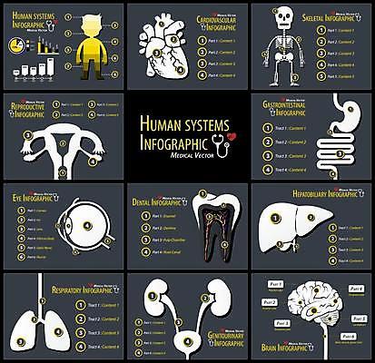 EPS 해외이미지 디자인 신체 일러스트 해부 골격 사람 그래픽 세트 약 인포그래픽 하트 오르간 신장 호흡기관 플랫 치아 수집 불안 뇌 생물학 간 시스템 자궁 돌봄 심장병 엘리먼트 해외일러스트 모양 교육 감정 의학 모션 소화기관 장기_의학 건반악기 비뇨기관 질병 파일형식 벡터 이미지허브