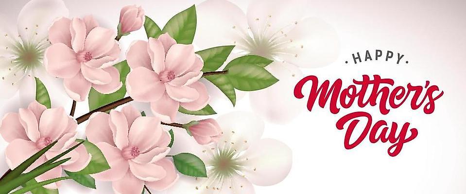 EPS 해외이미지 템플릿 디자인 배너 계절 꽃 행복 포스터 리플렛 분홍색 백그라운드 컨셉 일러스트 캘리그라피 텍스트 엄마 추상 휴가 이벤트 가로 빨간색 귀여움 봄 수확 벚꽃 흰색 축하 인사 신용카드 메시지 우아함 5월 그림 엽서 초대 창백 고립 엘리먼트 레터링 스타일 해외일러스트 식물 감정 컬러 무늬 농업 가족 금융 예절 날짜 편지 파일형식 벡터 이미지허브