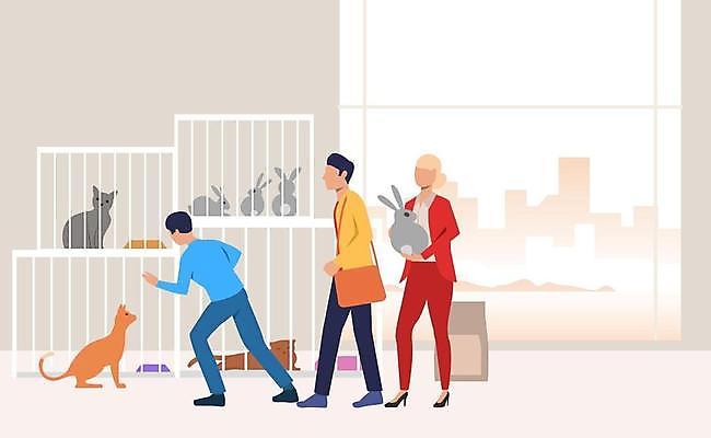 EPS 해외이미지 전신 여자 남자 여러마리 일러스트 창문 서기 들기 성인 건물 세명 반려동물 고양이 토끼 센터 동물보호 입양 철장 케이지 성인만 반려묘 유기묘 유기동물 해외일러스트 반려용품 동물 건축물 다수 포유류 모션 사람 사회이슈 오브젝트 파일형식 벡터 이미지허브