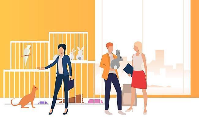 EPS 해외이미지 전신 여자 남자 여러마리 일러스트 창문 서기 들기 성인 건물 세명 반려동물 고양이 토끼 센터 직원 손인사 동물보호 서류판 입양 철장 케이지 성인만 반려묘 유기묘 유기동물 해외일러스트 반려용품 동물 건축물 다수 포유류 모션 사람 사무용품 인사 사회이슈 오브젝트 파일형식 벡터 이미지허브