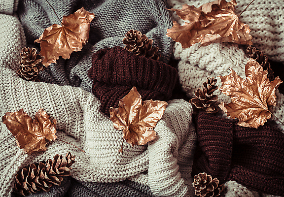 포토 JPG 해외이미지 단풍 낙엽 실내 사람없음 니트 솔방울 해외포토 상의 잎 내부 파일형식 이미지허브