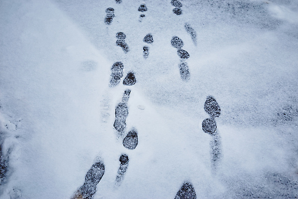 포토 JPG 해외이미지 모양 길 신발 이동 자국 추상 새로움 부츠 사람 사람없음 걷기 우주 젖음 탐험 흰색 도시 클래식 닫기 떨어짐 인쇄 발자국 방향 싱글 질감 쇼 온도 단계 기후변화 방법 선로 양발 자취 각인 유일 해외포토 컬러 컨셉 무늬 모션 날씨 변화 파일형식 이미지허브